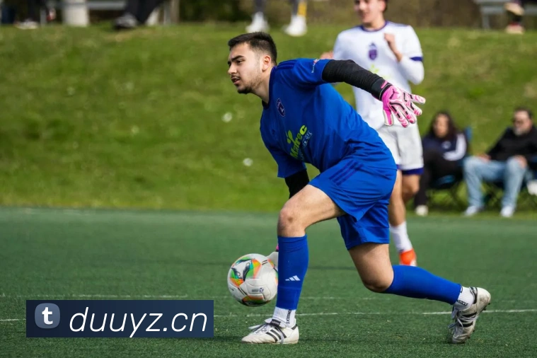 华体网首页官网平台生态图